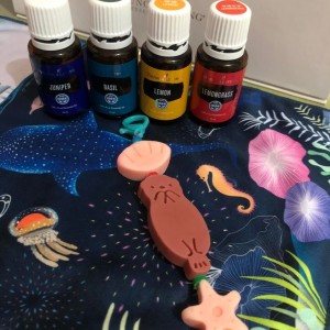 天然驅蚊手做小物 *